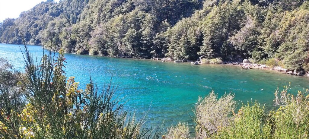 Lago de água verde-azulada cercado por mata